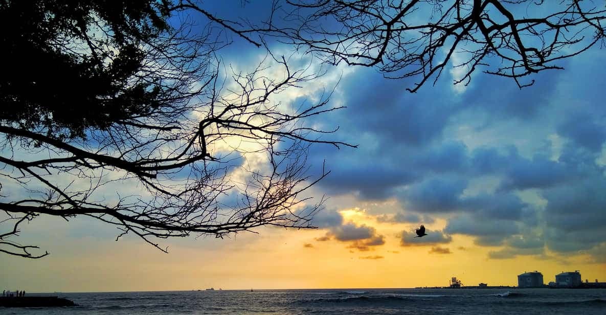 Fort Kochi heritage walk 4